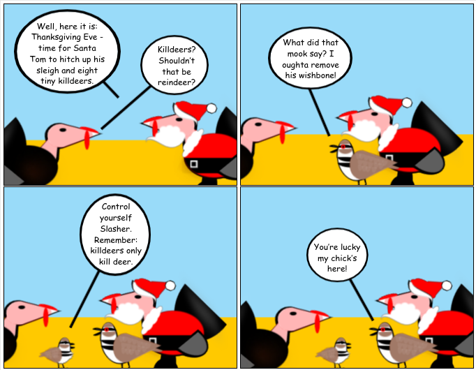 What To My Wandering Eyes