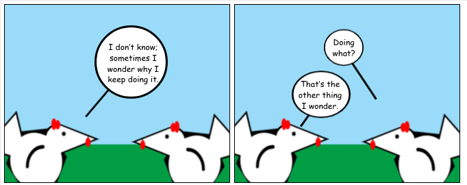 Somethin' Doin'