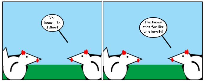 Brevity Levity
