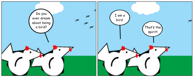 A Dream Bawking