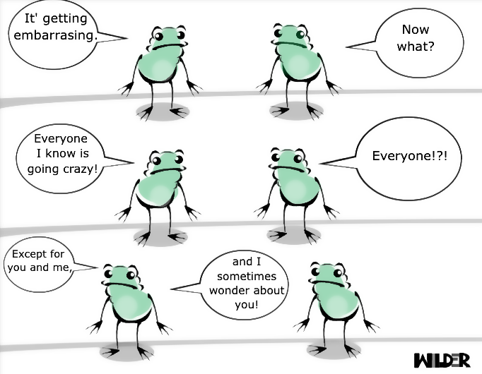 frogs