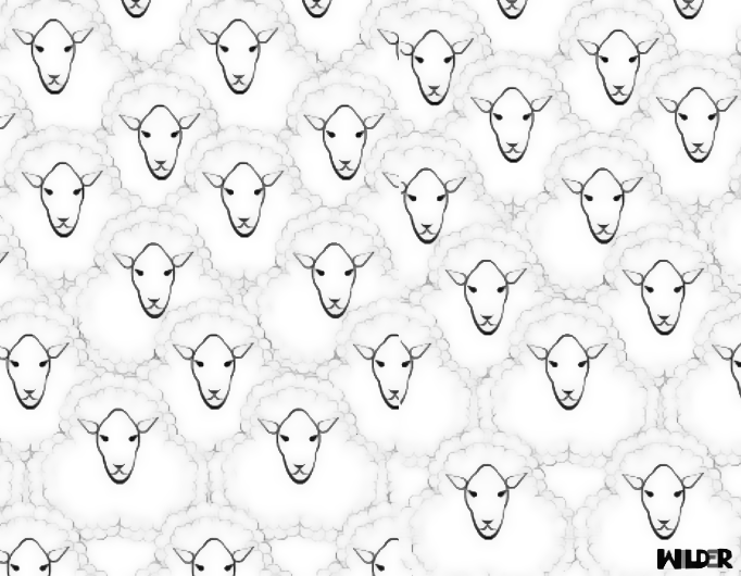 Little Lambs Eat Ivy