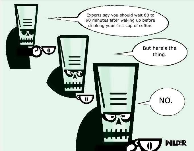 Experts, Schmexperts