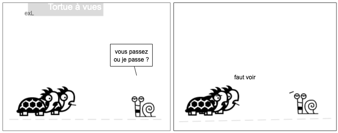 Tortue à vues