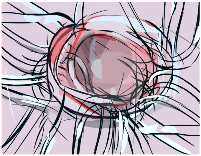 Les lignes pour fuir